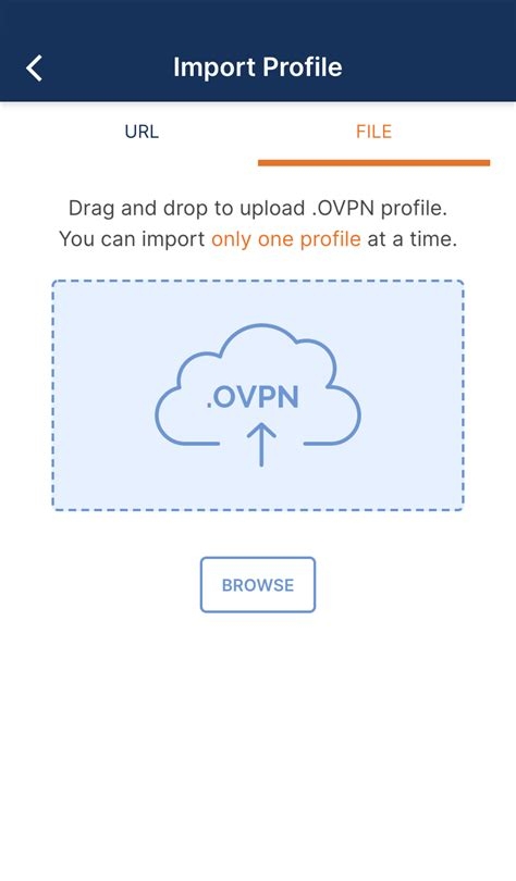 Personal Internet Access Vpn