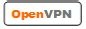 Micvpn