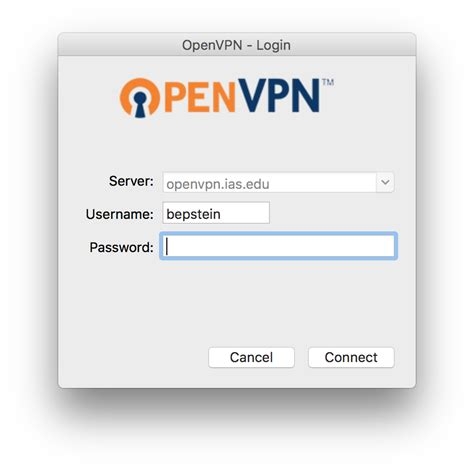 Goose Vpn Review