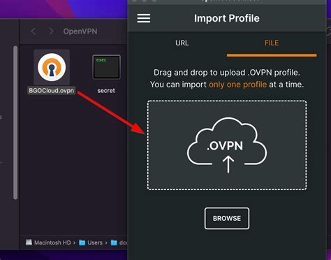 Anonymous Ip