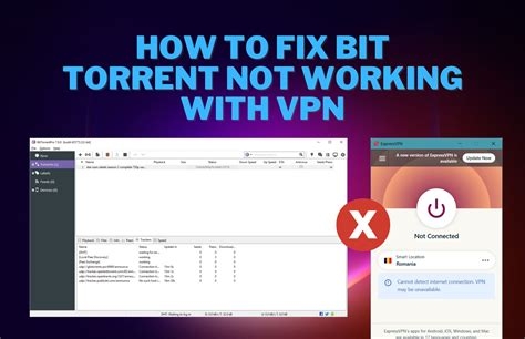 Vpn Phone Number